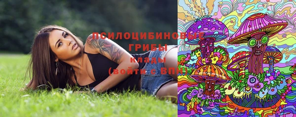 гашик Абаза