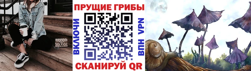 Галлюциногенные грибы прущие грибы  гидра рабочий сайт  Трубчевск 